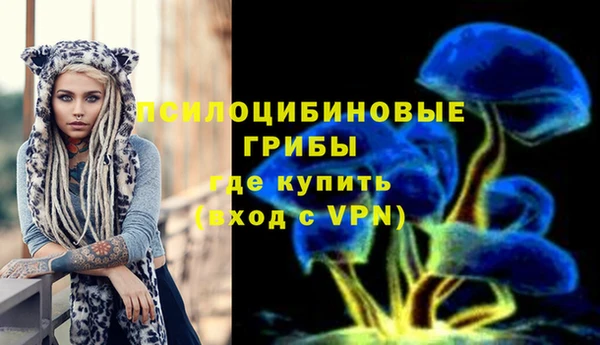 PSILOCYBIN Нефтегорск