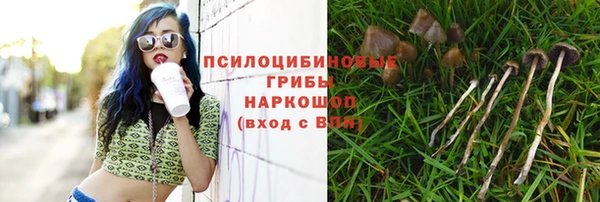 ALPHA-PVP Белокуриха