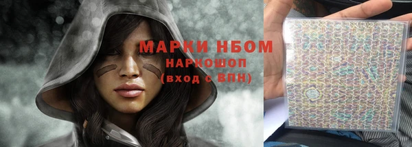 гашик Нефтекумск