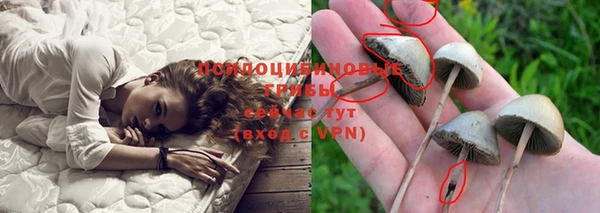 скорость Нея