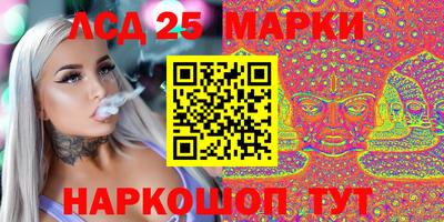 спиды Донской