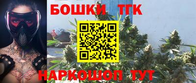 бошки Дубна