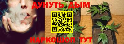 бошки Дубна