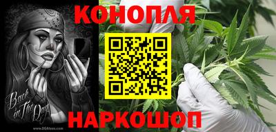 бошки Дубна