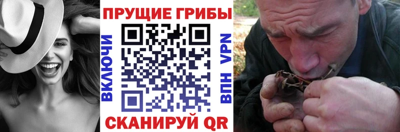 Псилоцибиновые грибы GOLDEN TEACHER  где продают наркотики  darknet телеграм  Новоалтайск 