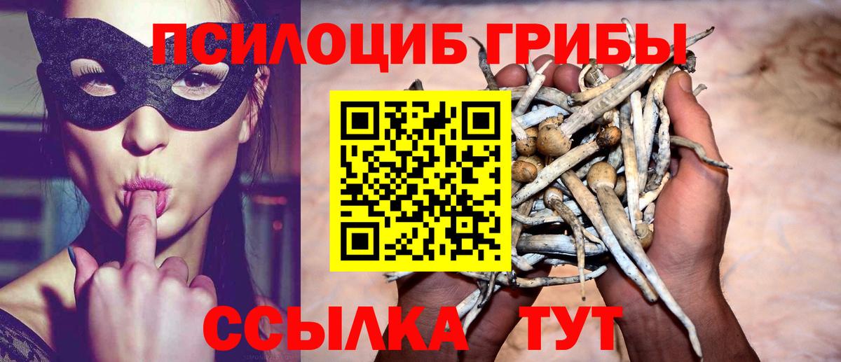 МАРИХУАНА Новоалтайск