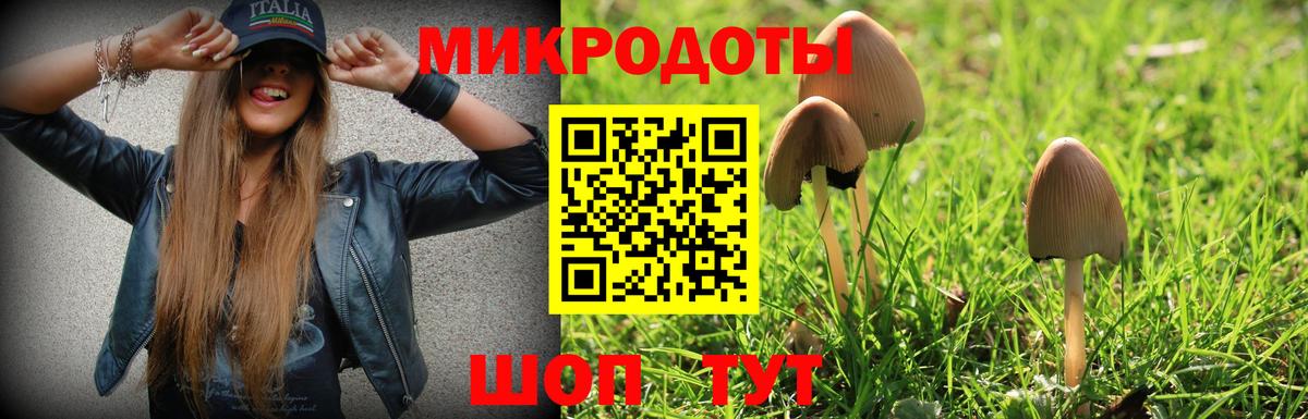 Галлюциногенные грибы прущие грибы  Новоалтайск 